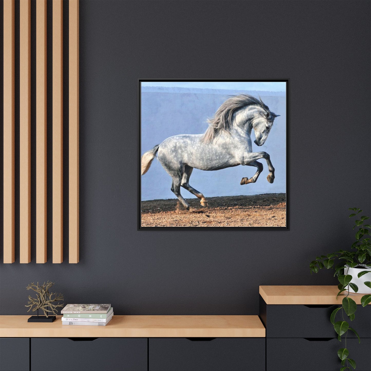 Canvas Print - Andalusian Stallion in Spirited Play