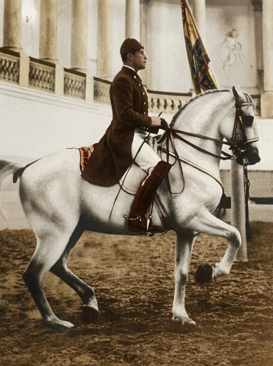 The Spanish Horse in Renaissance Naples: The Foundation of Collection