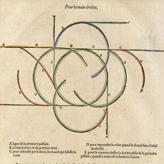 The Neapolitan School and the Refinement of Italian Equestrianism