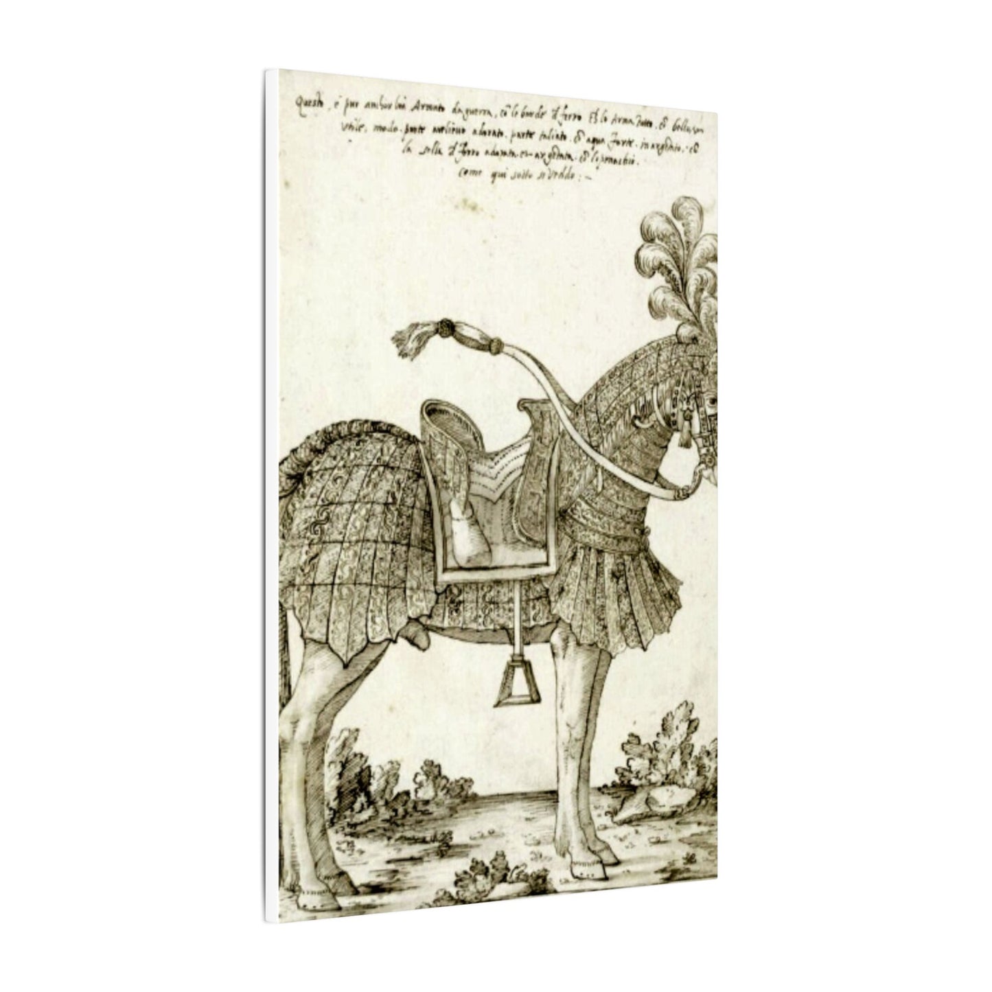 Renaissance Horse Illustration Matte Canvas Print