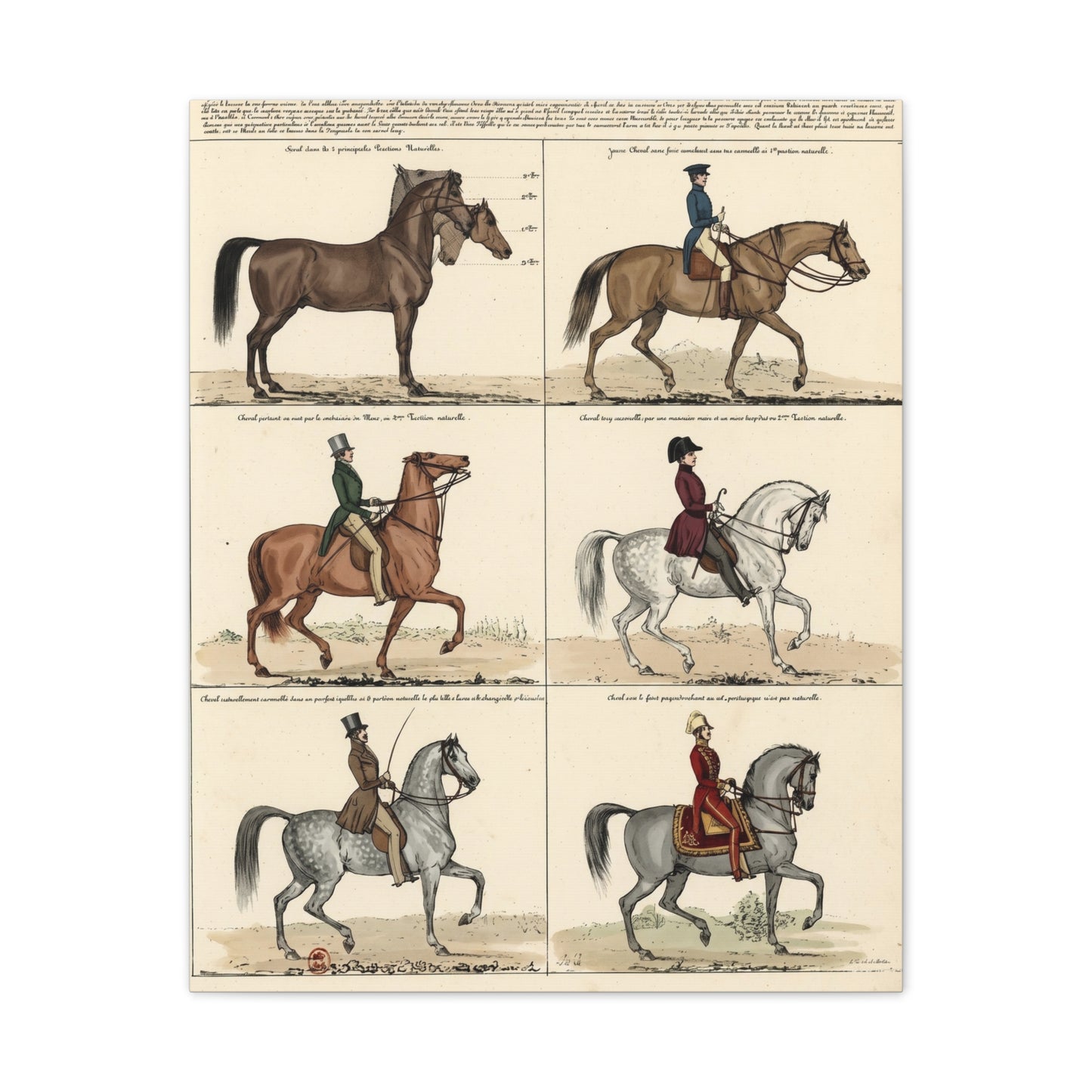 Vintage 1830s Horsemanship Canvas Print