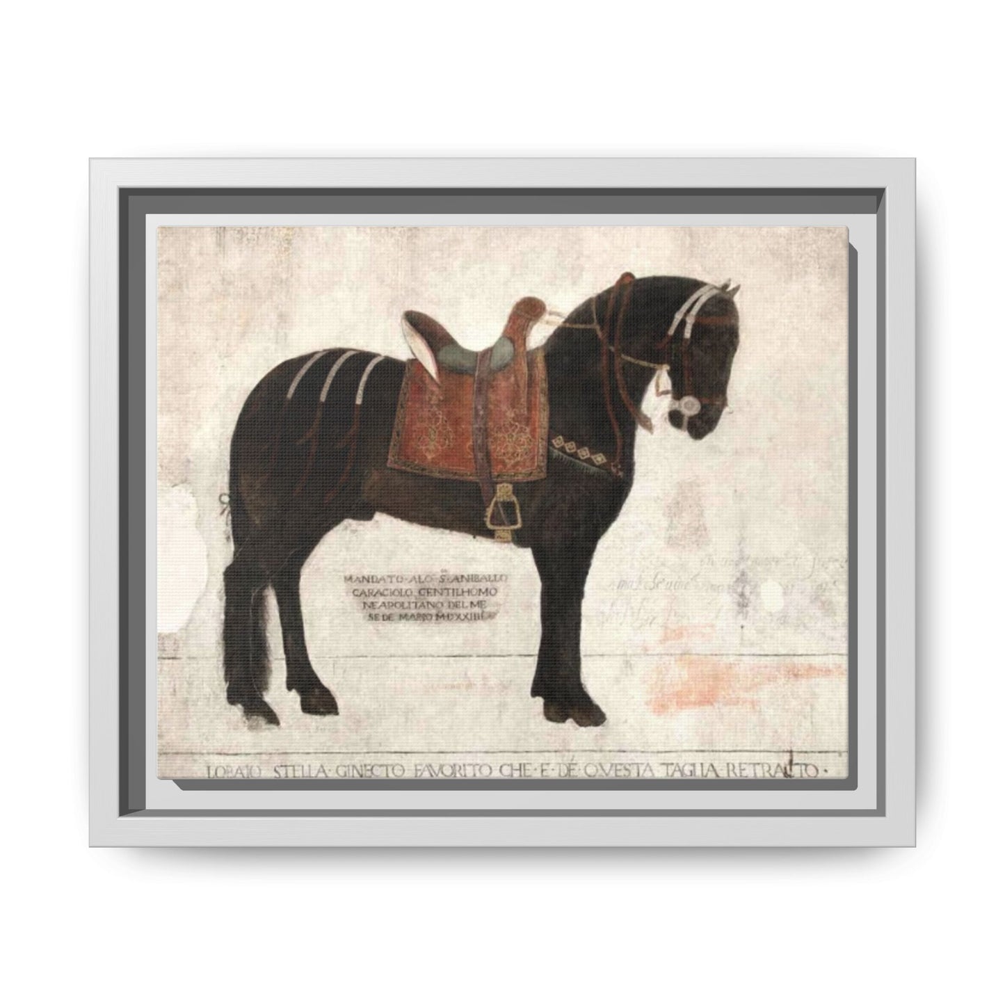 Framed Matte Canvas – 1523 Bay Horse 'Stella' Palazzo Pandone Fresco Print