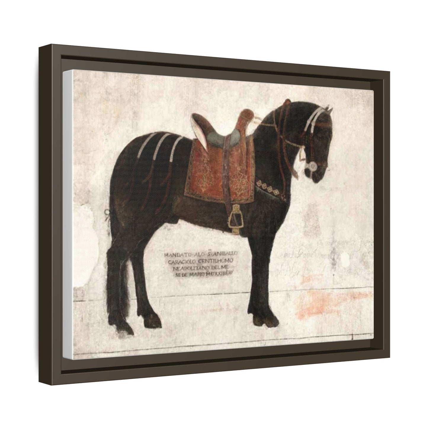 Framed Matte Canvas – 1523 Bay Horse 'Stella' Palazzo Pandone Fresco Print