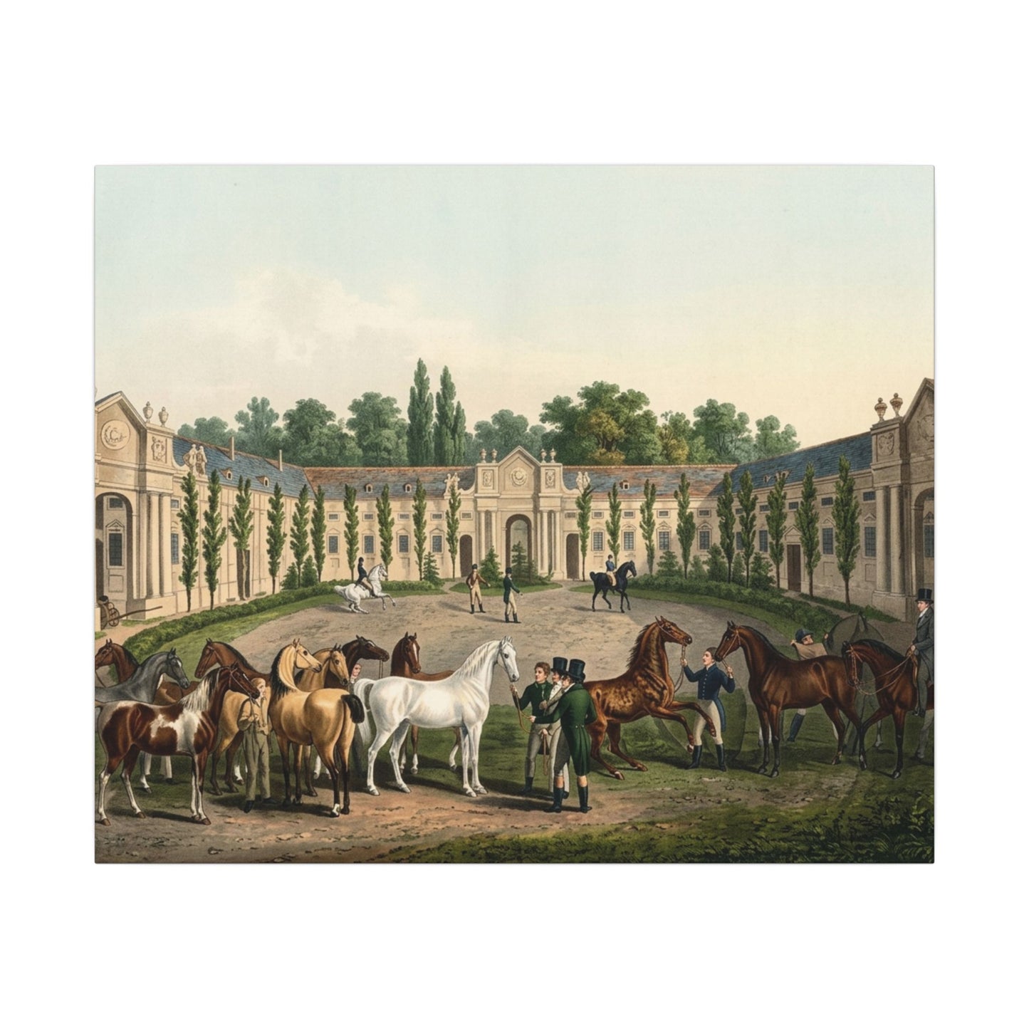 Equestrian Exhibition in the Courtyard Matte Canvas — Vintage 1906 Horse Exhibition Print