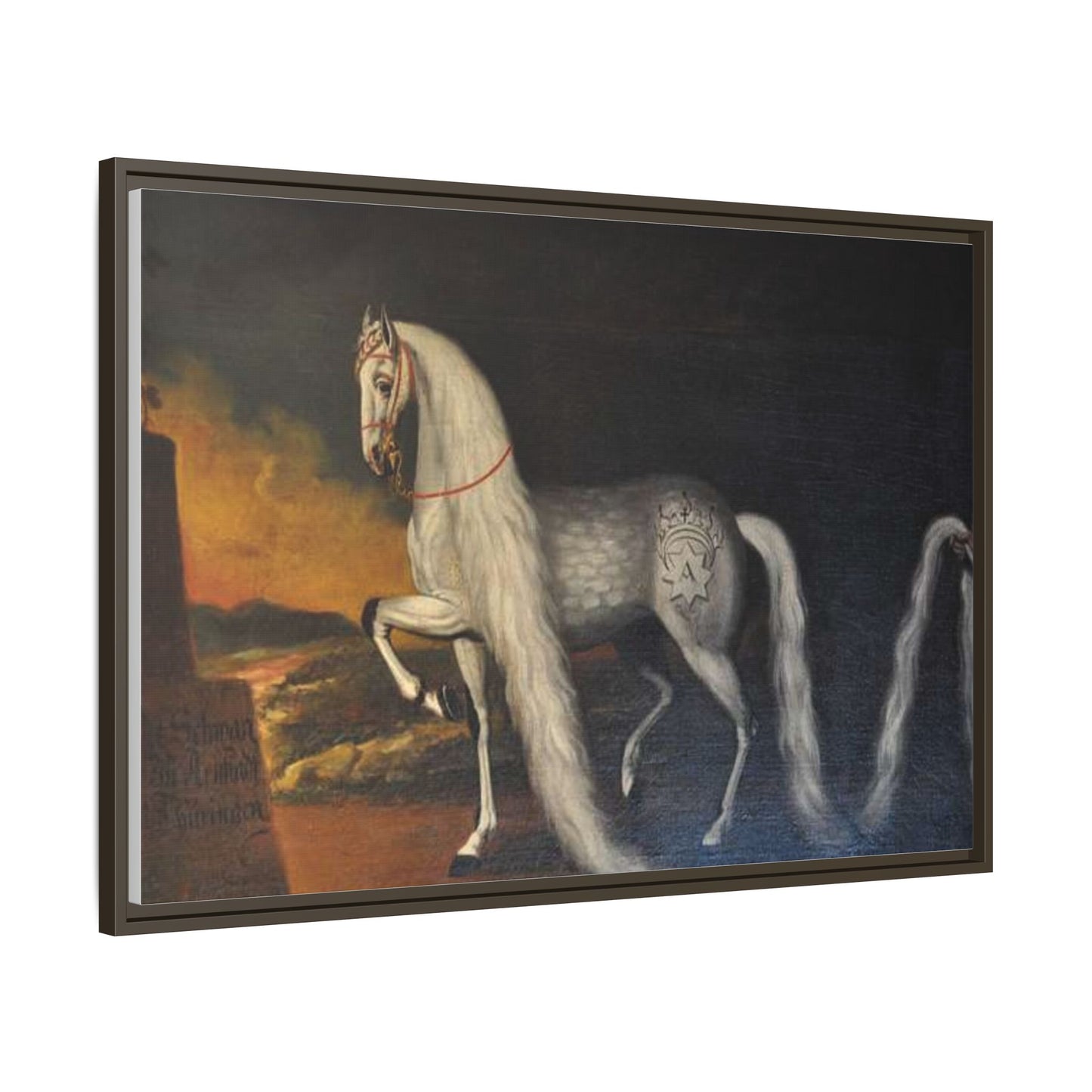 Matte Canvas Print — "Der Schwan zu Arnstadt" (Framed, Multi-Color)