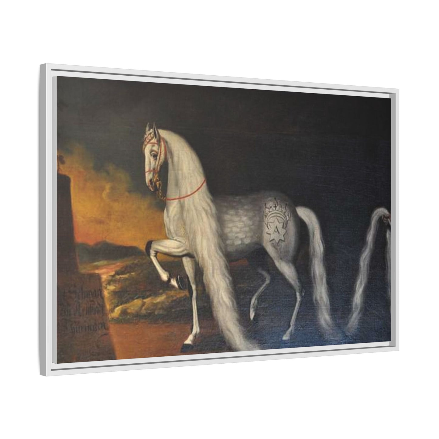 Matte Canvas Print — "Der Schwan zu Arnstadt" (Framed, Multi-Color)