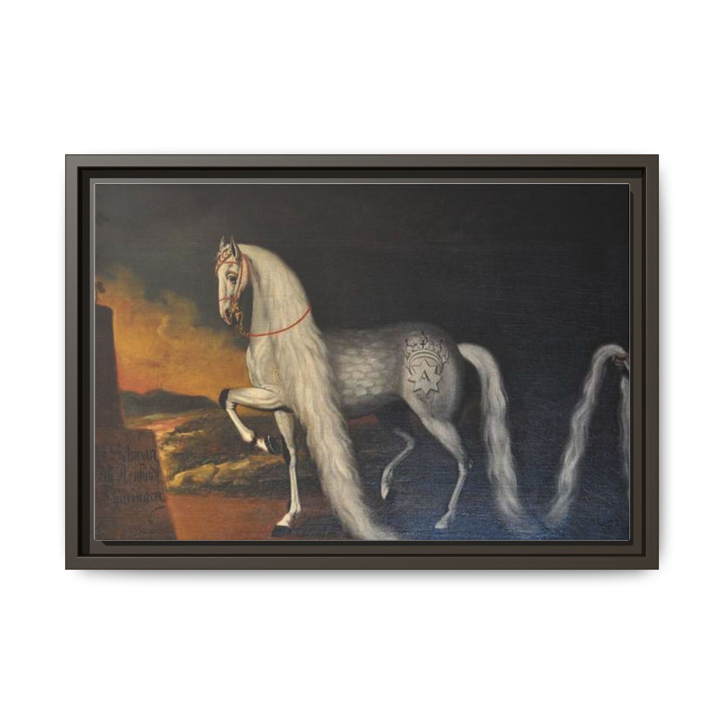 Matte Canvas Print — "Der Schwan zu Arnstadt" (Framed, Multi-Color)
