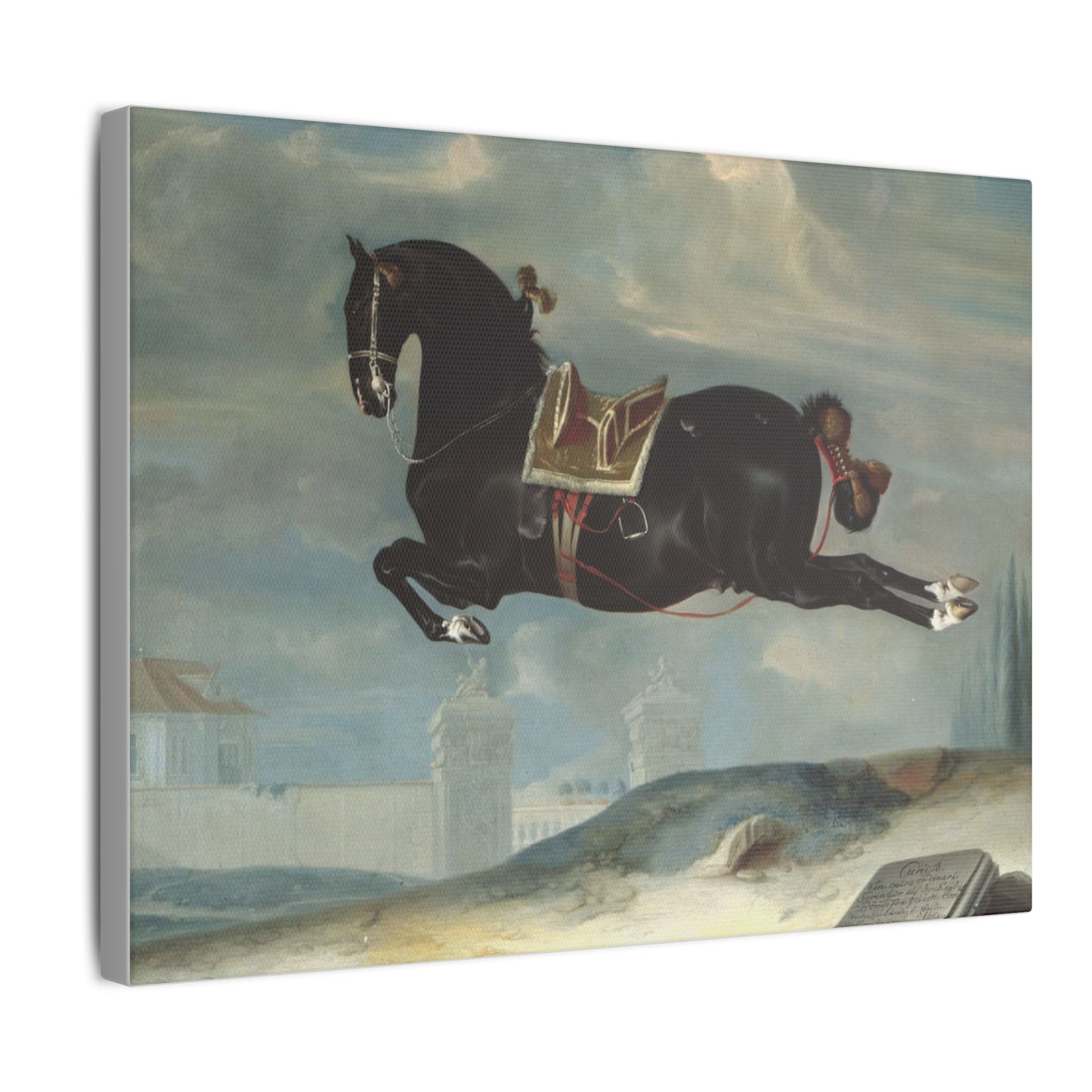Majestic Horse Canvas Print - Capriole by Curioso for Equestrian Lovers