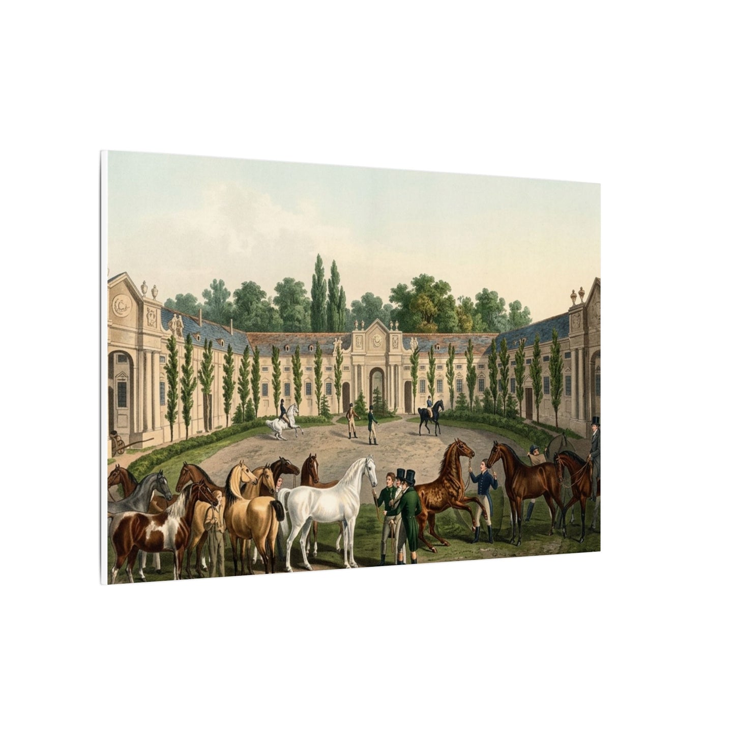 Equestrian Exhibition in the Courtyard Matte Canvas — Vintage 1906 Horse Exhibition Print