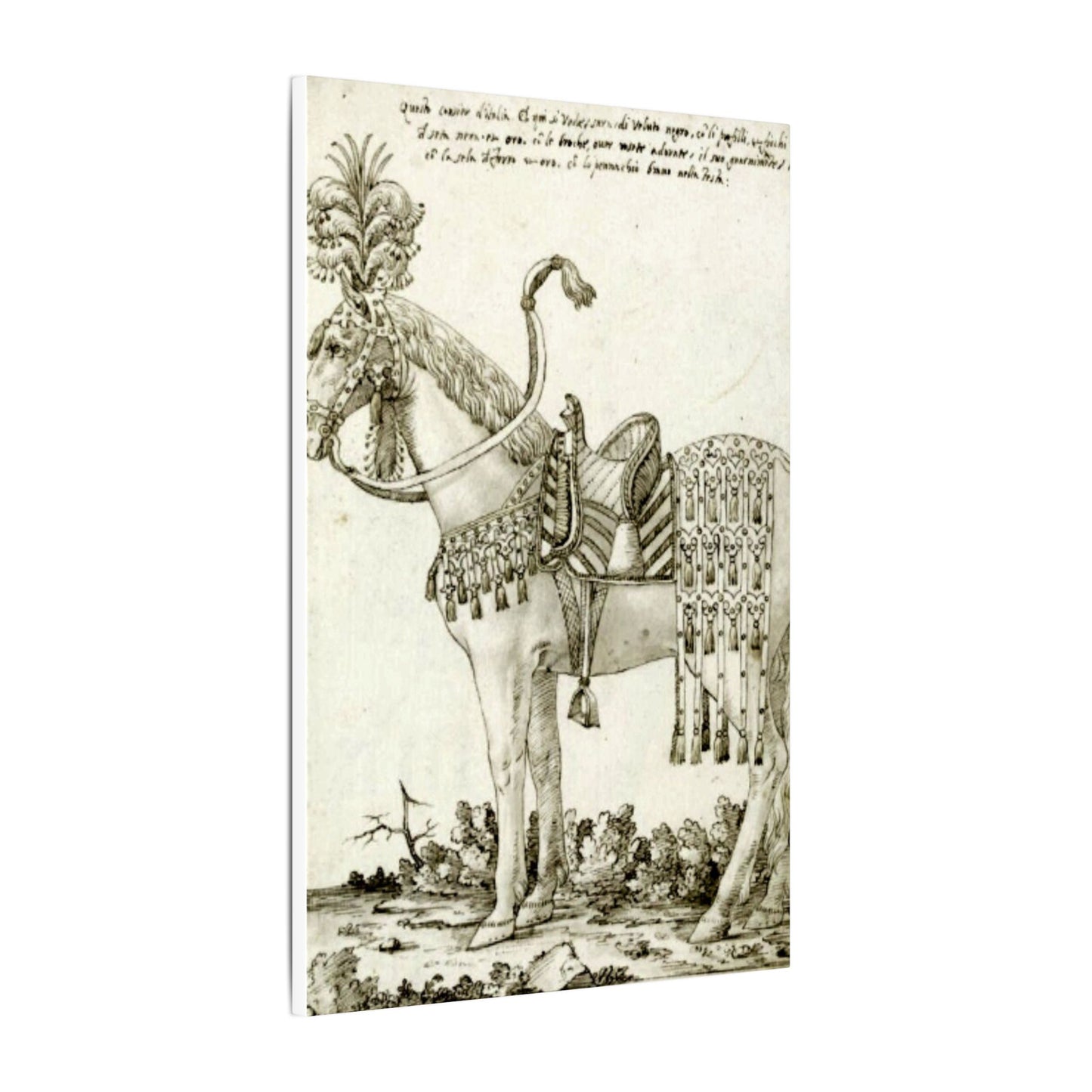Renaissance Horse Dressed for Parade - Vintage Equestrian Drawing Print