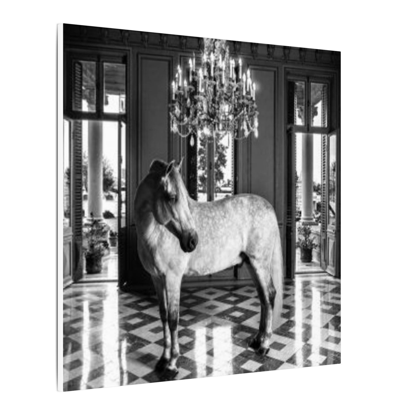 Equestrian Chateau Canvas