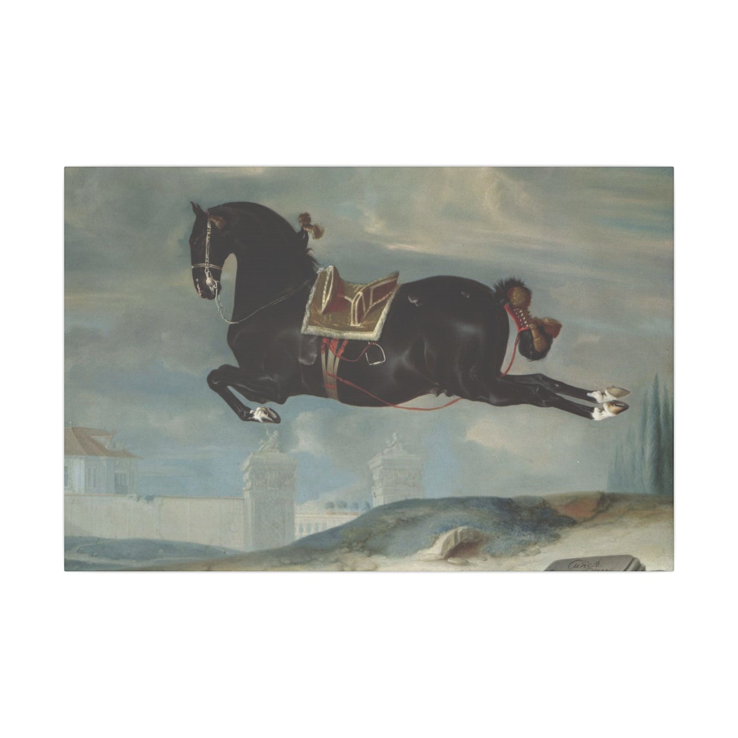 Majestic Horse Canvas Print - Capriole by Curioso for Equestrian Lovers