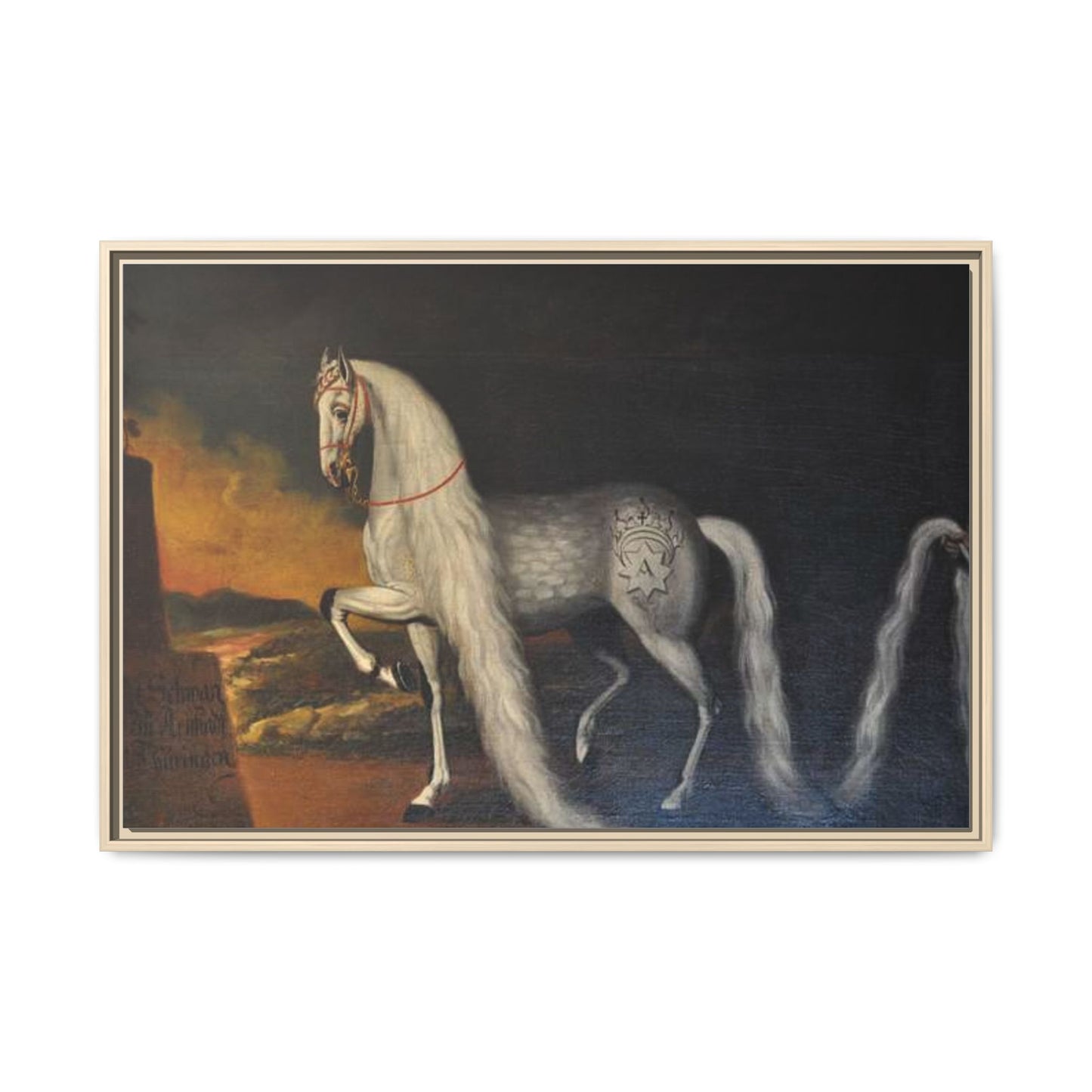 Matte Canvas Print — "Der Schwan zu Arnstadt" (Framed, Multi-Color)