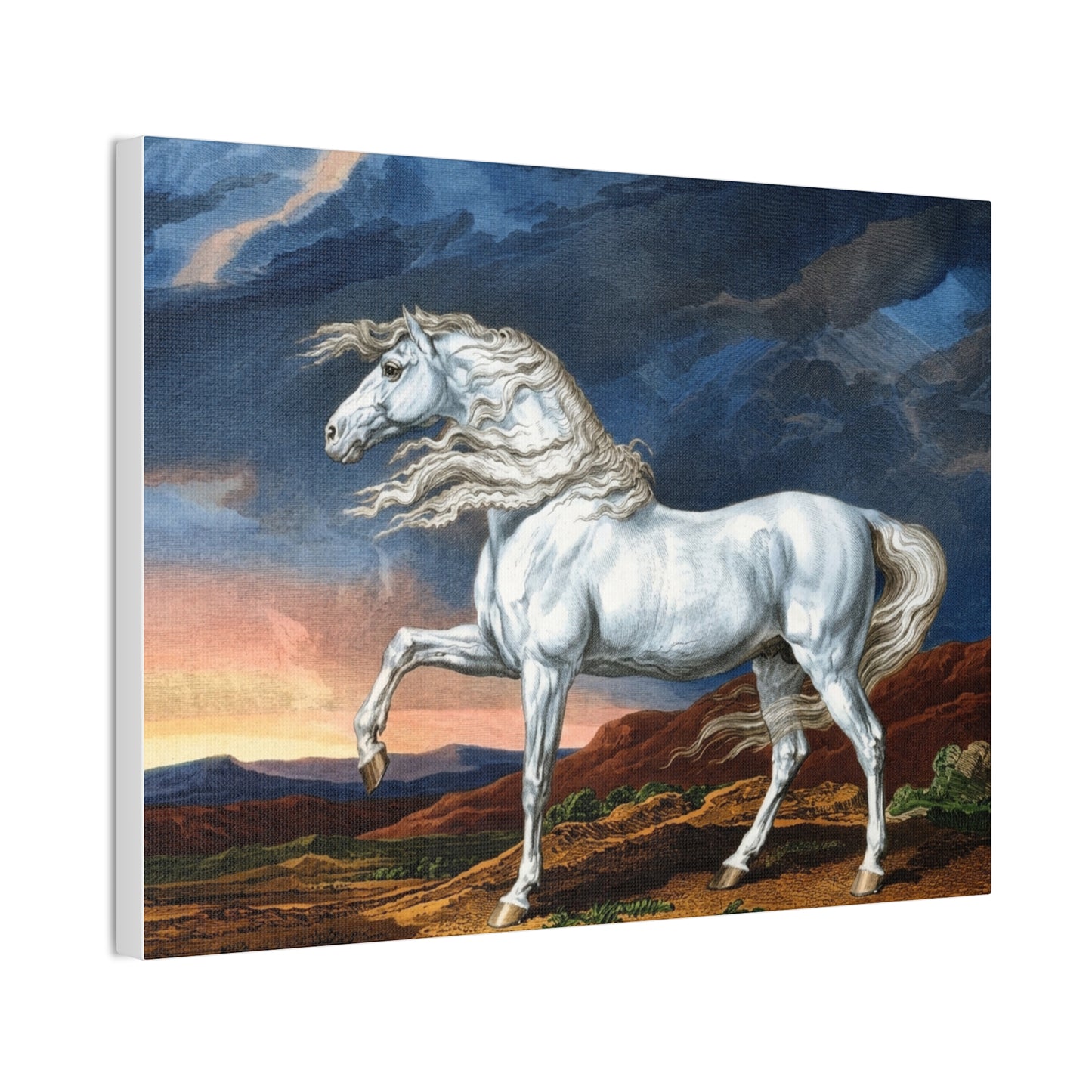 Adonis White Horse Canvas Print — Windswept Equestrian Wall Art