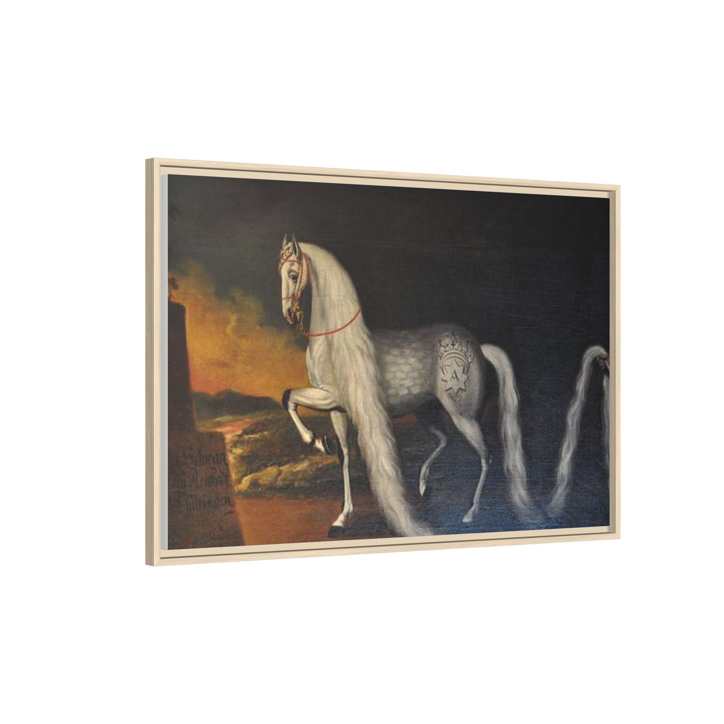 Matte Canvas Print — "Der Schwan zu Arnstadt" (Framed, Multi-Color)