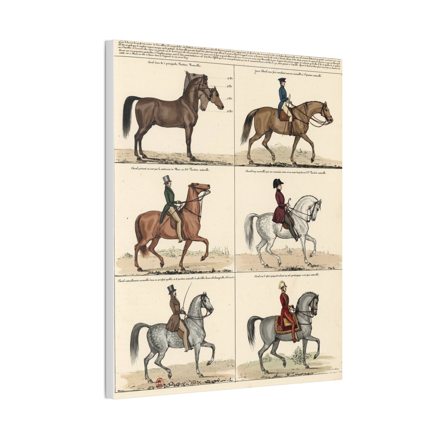 Vintage 1830s Horsemanship Canvas Print