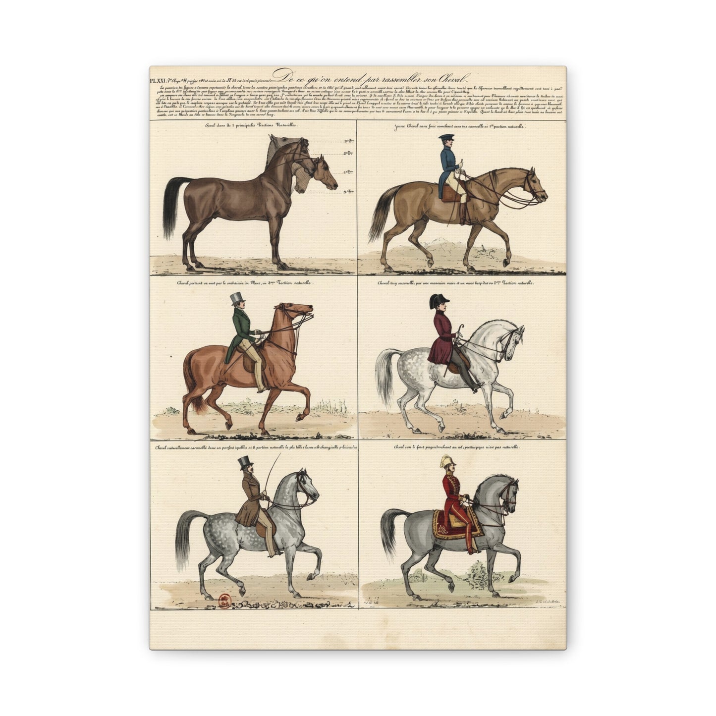 Vintage 1830s Horsemanship Canvas Print