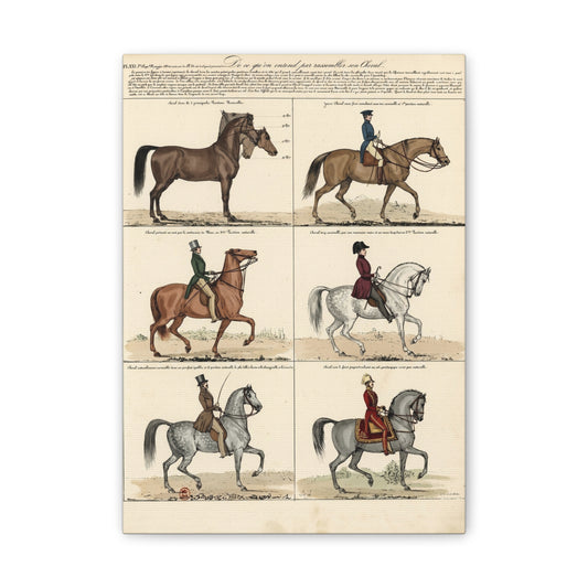 Vintage 1830s Horsemanship Canvas Print