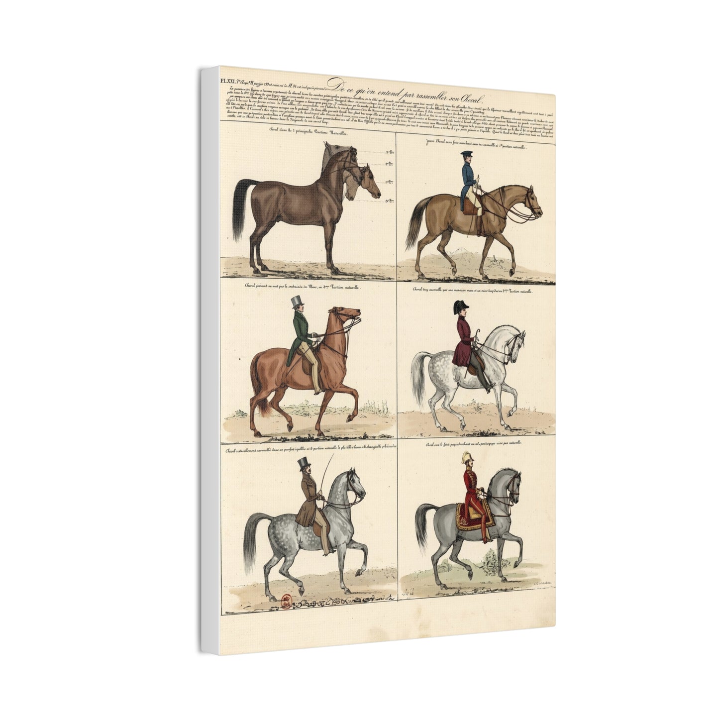 Vintage 1830s Horsemanship Canvas Print