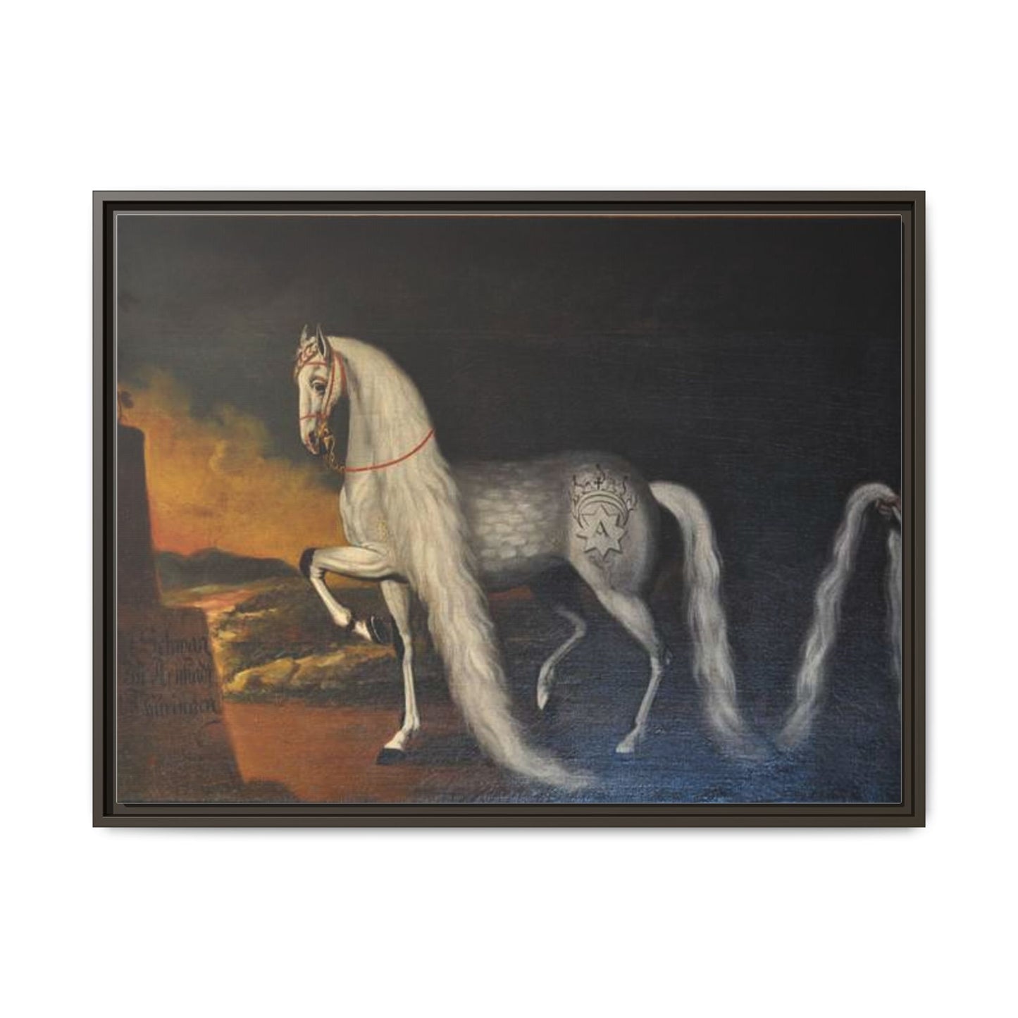 Matte Canvas Print — "Der Schwan zu Arnstadt" (Framed, Multi-Color)
