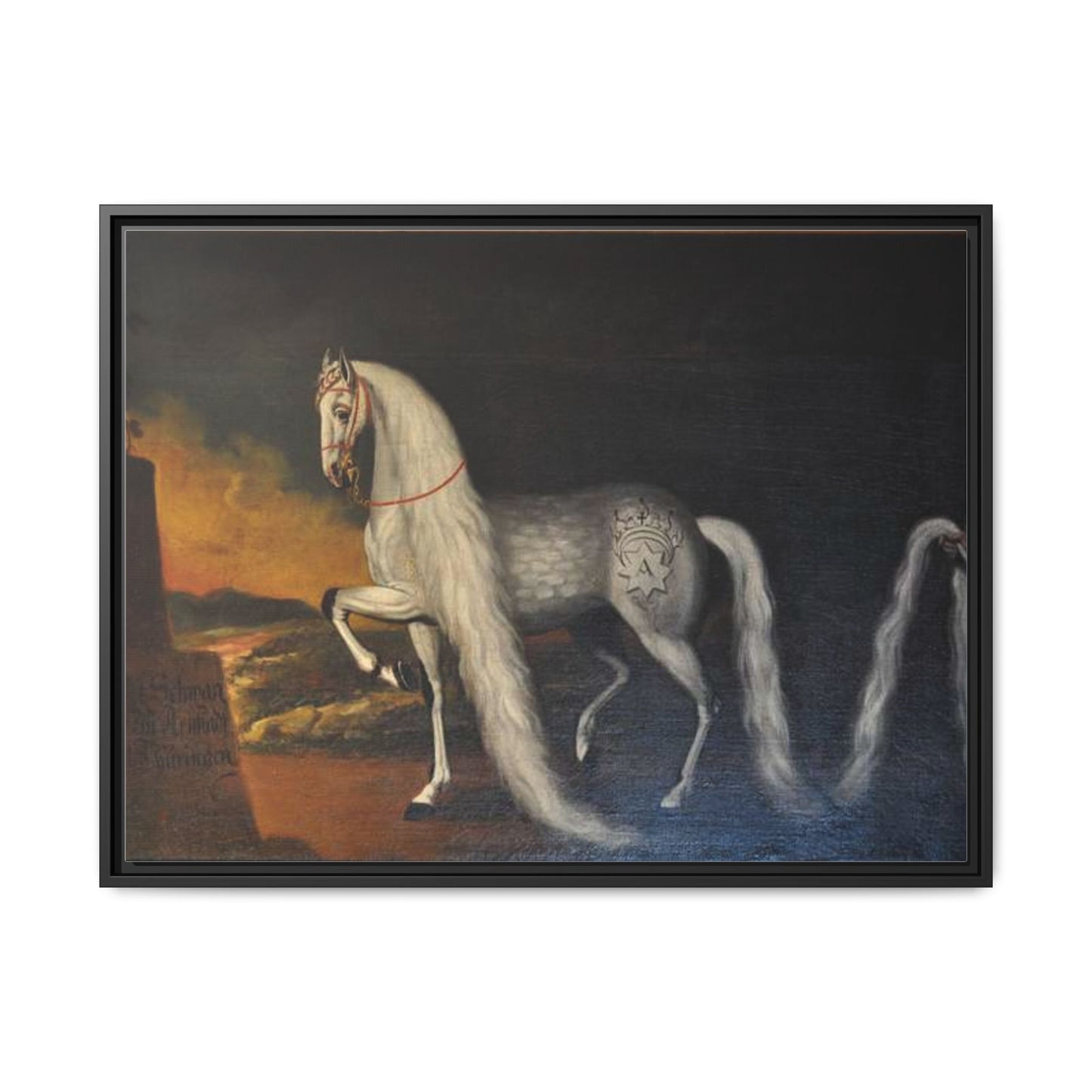 Matte Canvas Print — "Der Schwan zu Arnstadt" (Framed, Multi-Color)