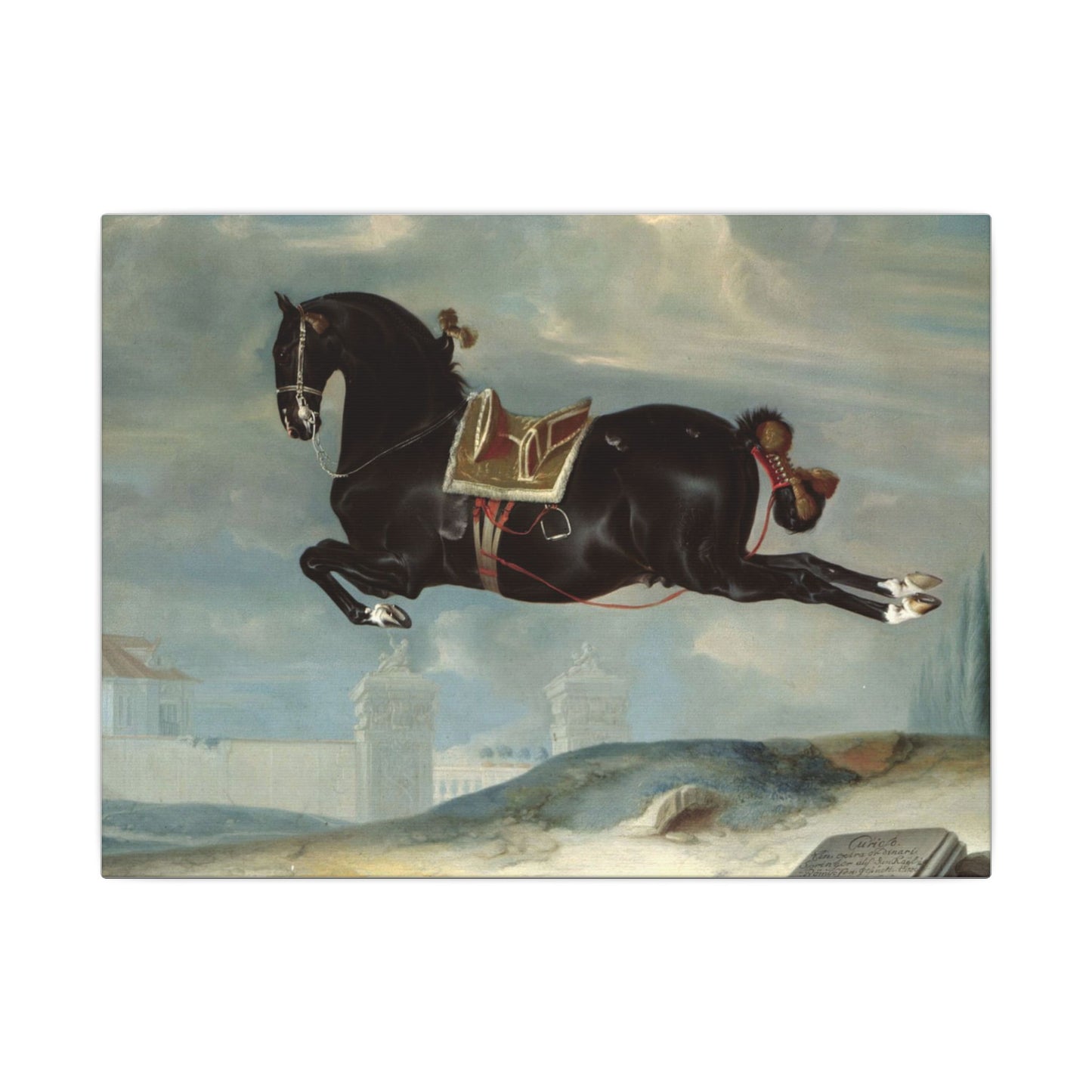 Capriole Horse Canvas Art Print – Eco-Friendly Stretched