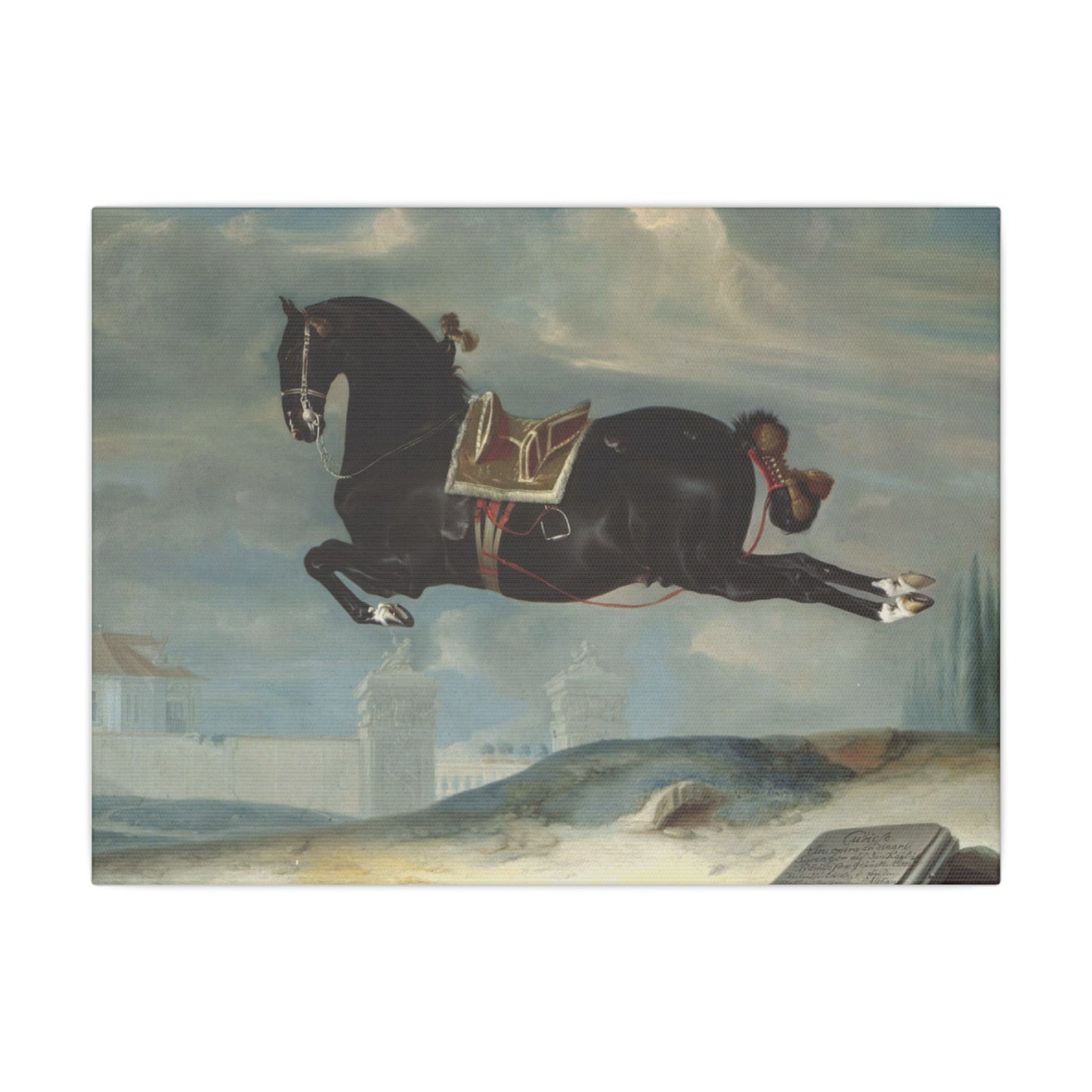 Majestic Horse Canvas Print - Capriole by Curioso for Equestrian Lovers