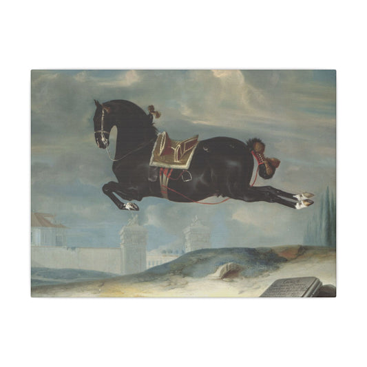Majestic Horse Canvas Print - Capriole by Curioso for Equestrian Lovers