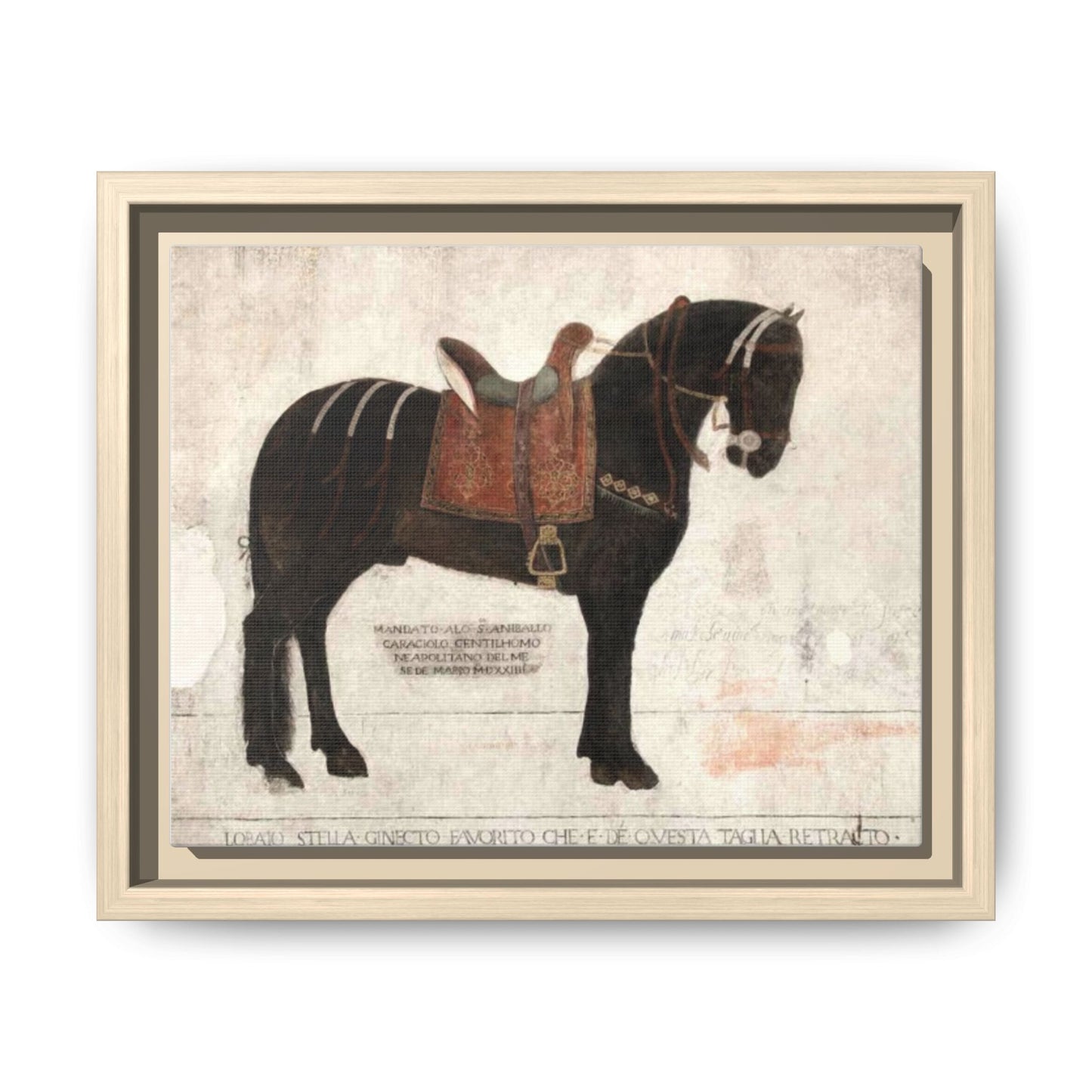 Framed Matte Canvas – 1523 Bay Horse 'Stella' Palazzo Pandone Fresco Print