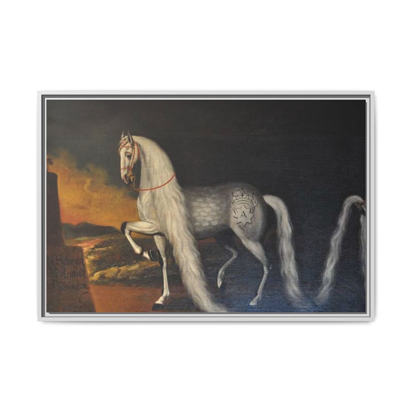 Matte Canvas Print — "Der Schwan zu Arnstadt" (Framed, Multi-Color)