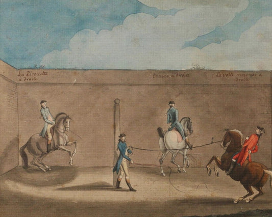 Equestrian Training Scene Canvas Print — French Baroque Riding School Art