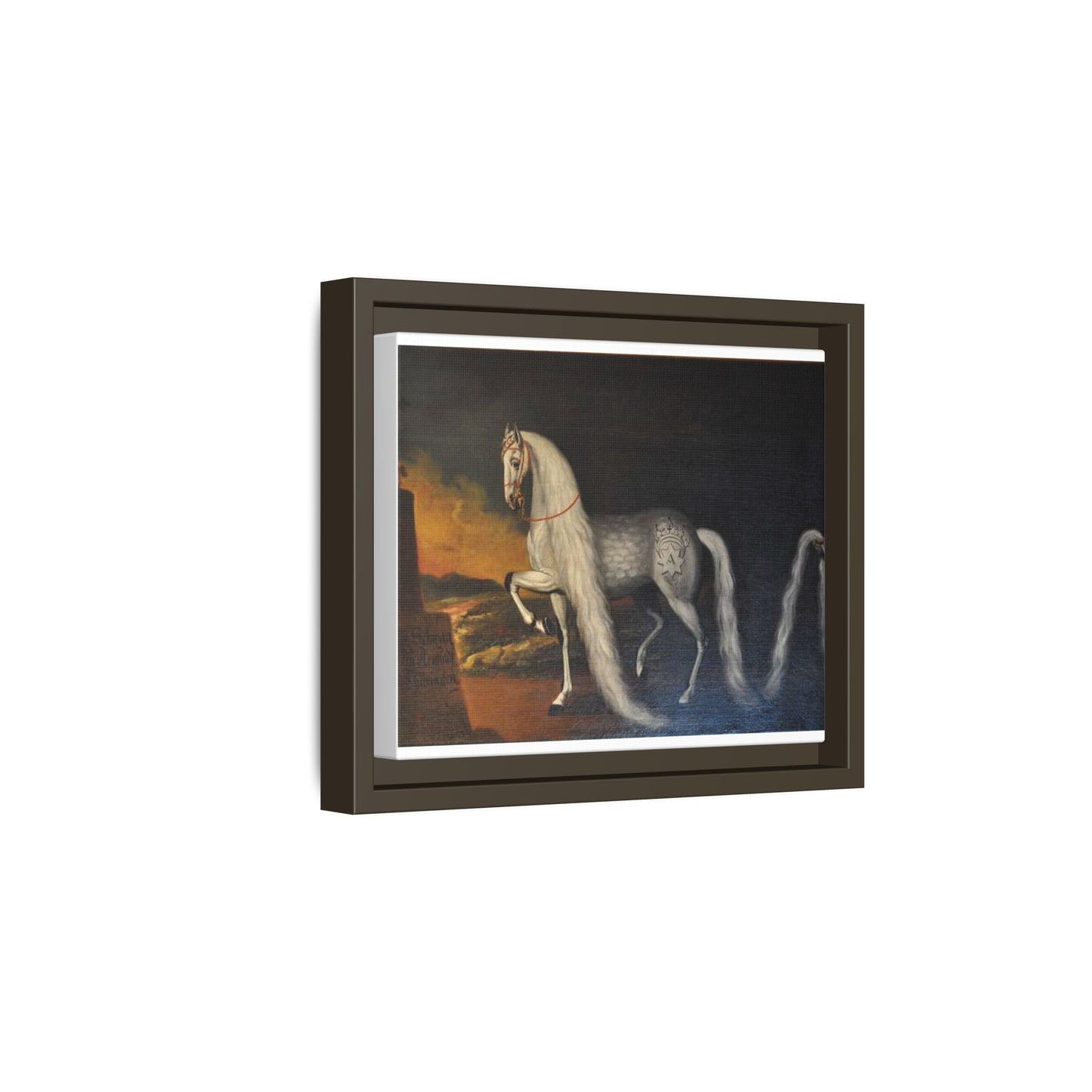 Matte Canvas Print — "Der Schwan zu Arnstadt" (Framed, Multi-Color)