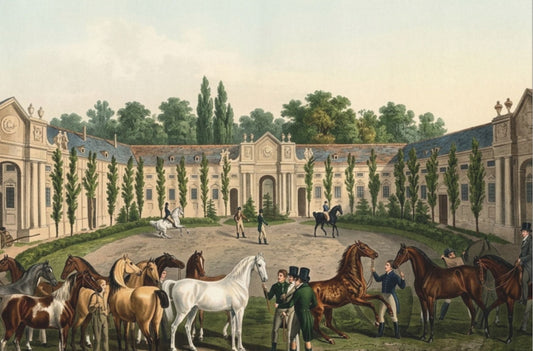 Equestrian Exhibition in the Courtyard Matte Canvas — Vintage 1906 Horse Exhibition Print