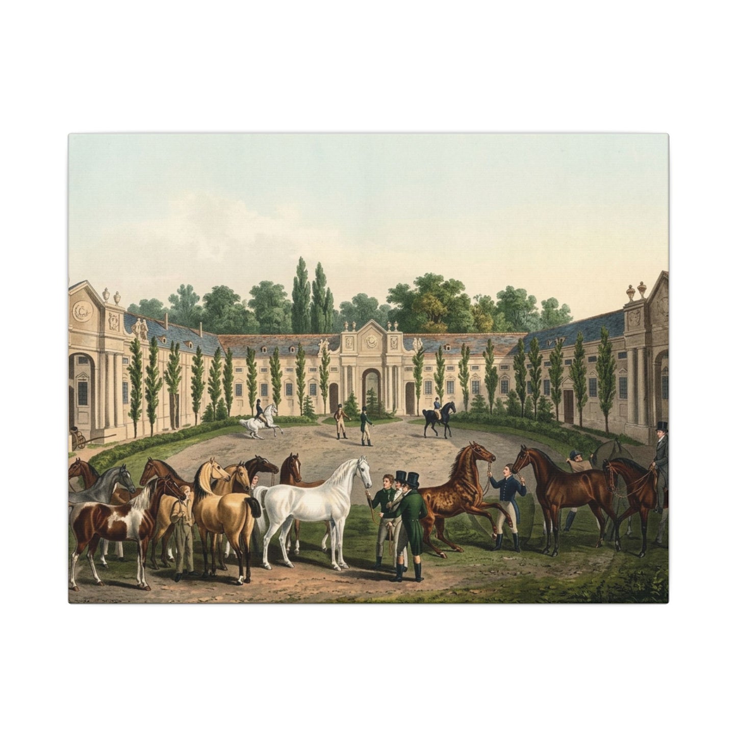 Equestrian Exhibition in the Courtyard Matte Canvas — Vintage 1906 Horse Exhibition Print