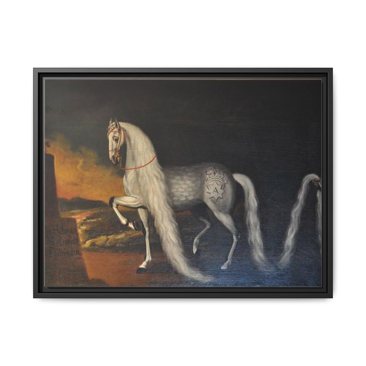 Matte Canvas Print — "Der Schwan zu Arnstadt" (Framed, Multi-Color)