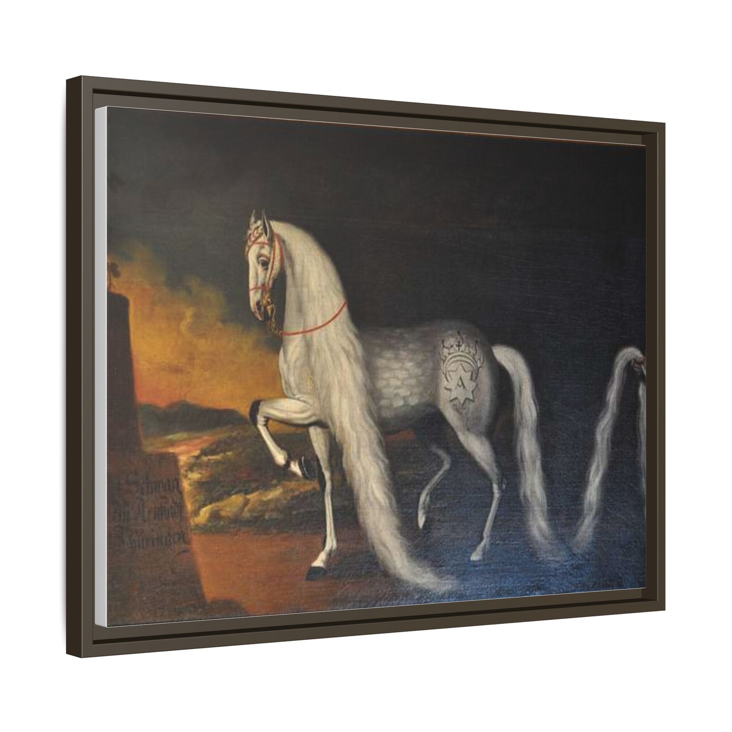 Matte Canvas Print — "Der Schwan zu Arnstadt" (Framed, Multi-Color)