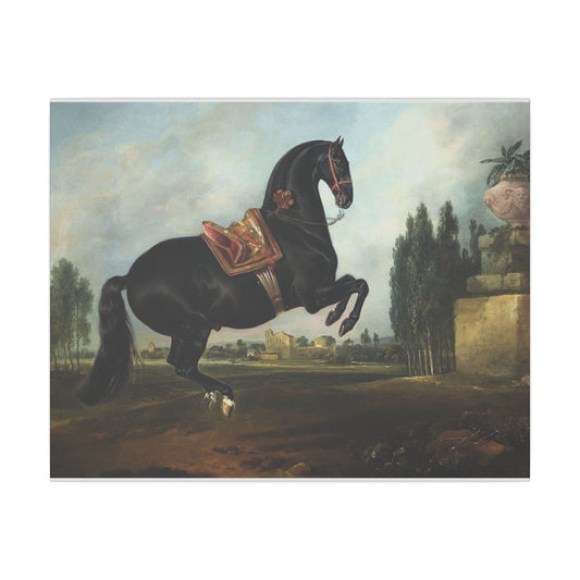 Equestrian Art Canvas Print – Majestic Black Horse, Gitano, Wall Decor