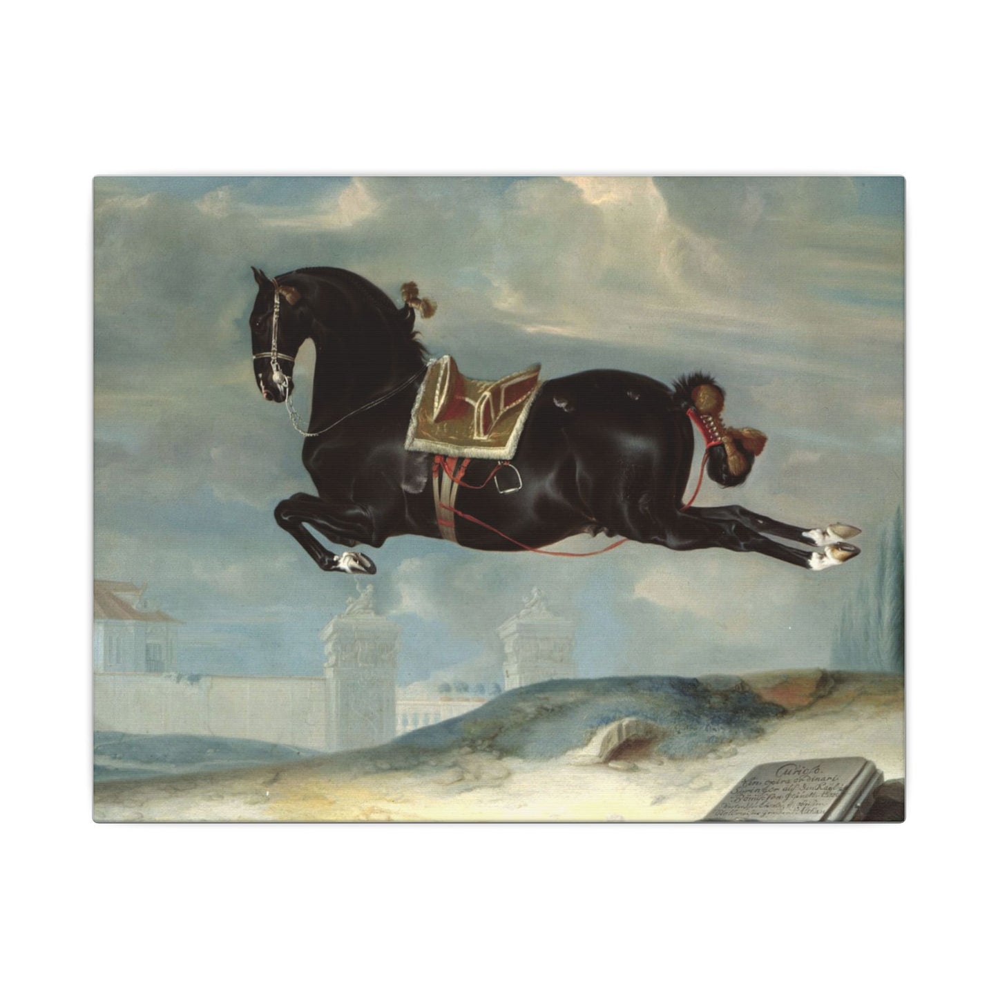 Capriole Horse Canvas Art Print – Eco-Friendly Stretched