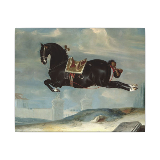 Capriole Horse Canvas Art Print – Eco-Friendly Stretched