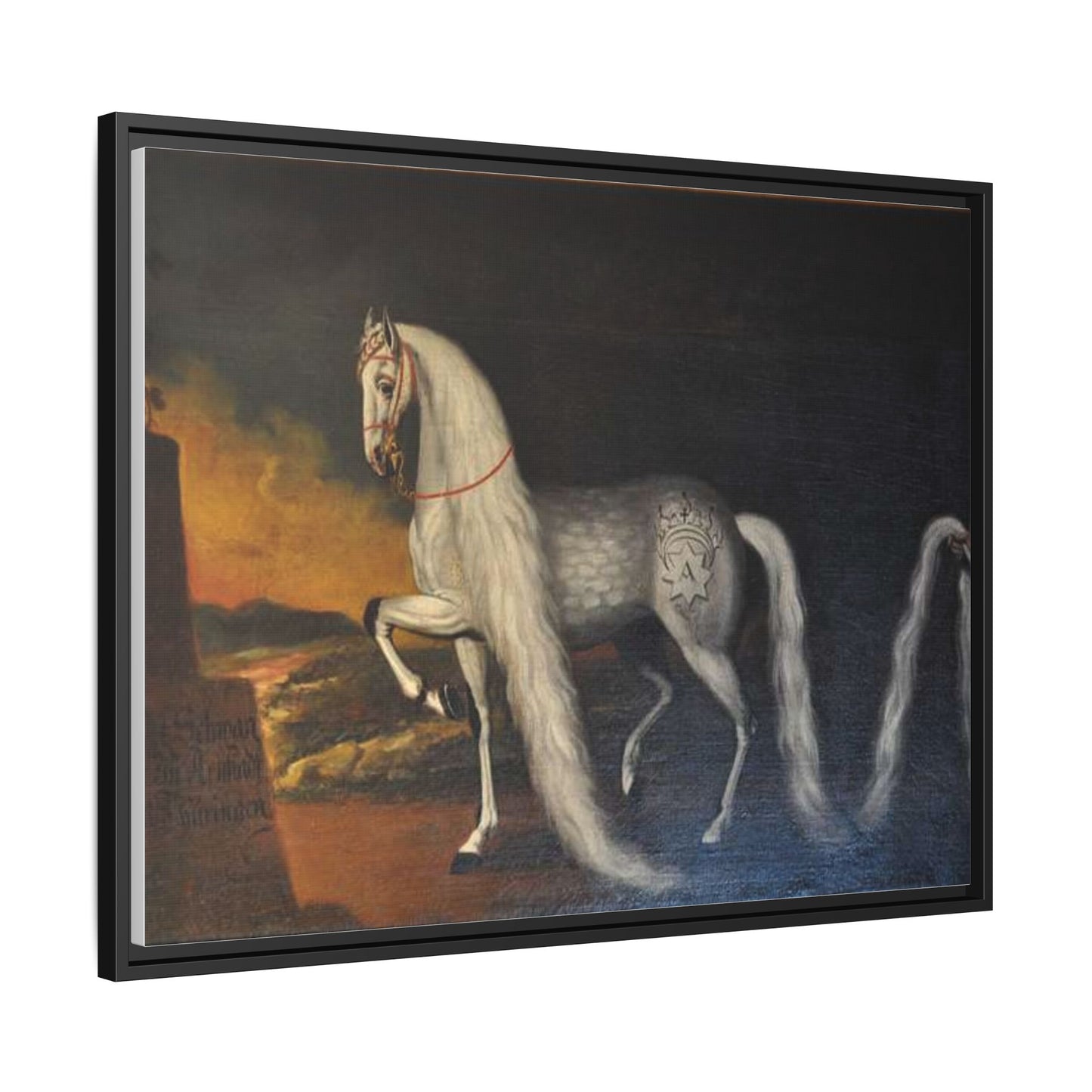 Matte Canvas Print — "Der Schwan zu Arnstadt" (Framed, Multi-Color)