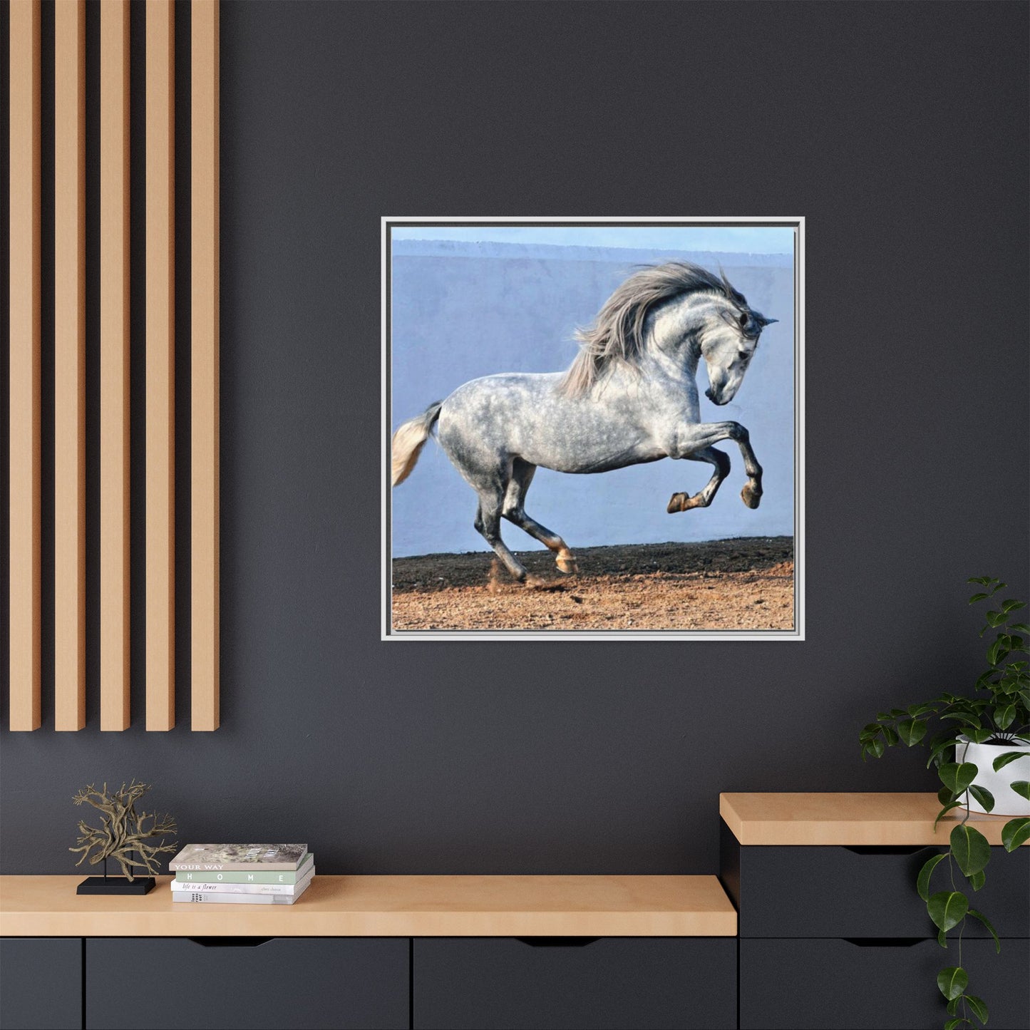 Canvas Print - Andalusian Stallion in Spirited Play