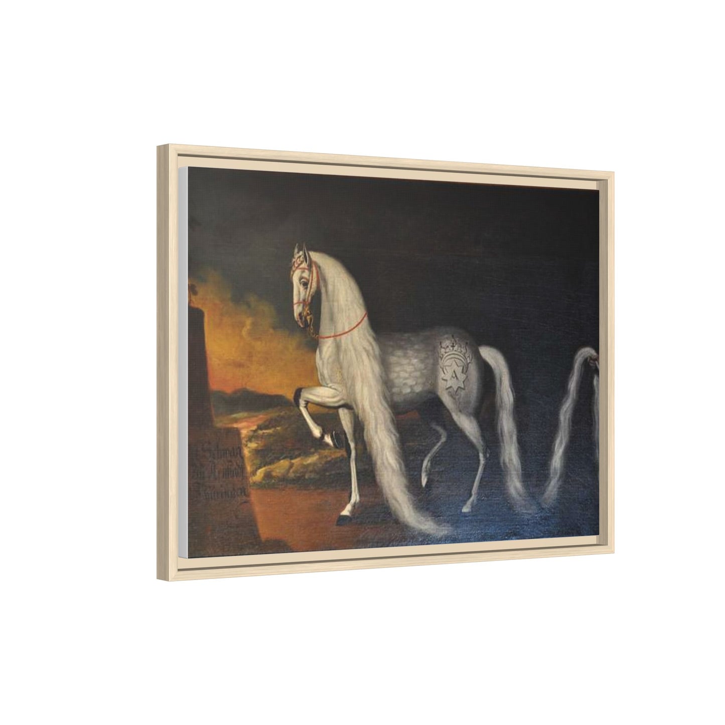 Matte Canvas Print — "Der Schwan zu Arnstadt" (Framed, Multi-Color)