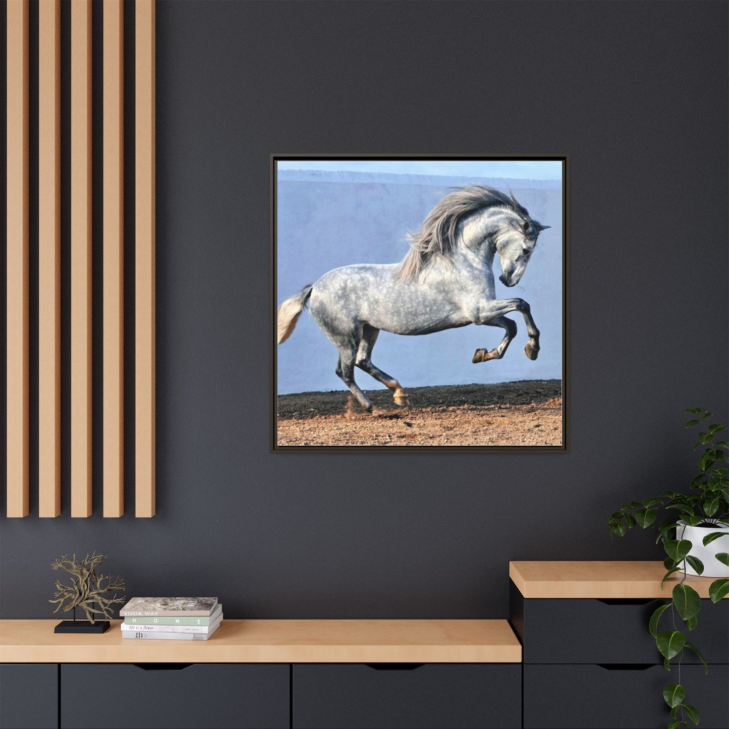 Canvas Print - Andalusian Stallion in Spirited Play