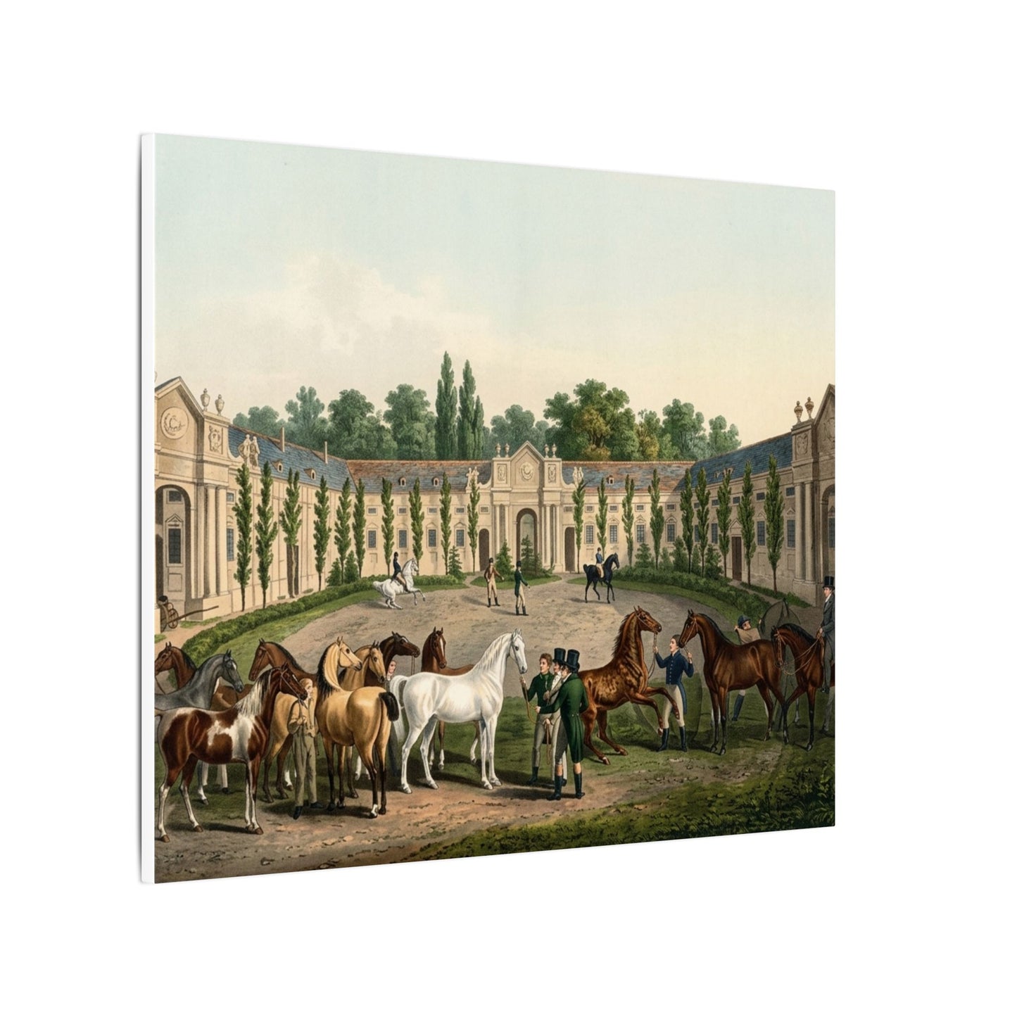 Equestrian Exhibition in the Courtyard Matte Canvas — Vintage 1906 Horse Exhibition Print