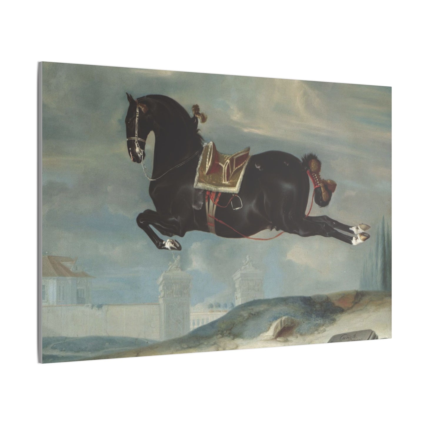 Majestic Horse Canvas Print - Capriole by Curioso for Equestrian Lovers
