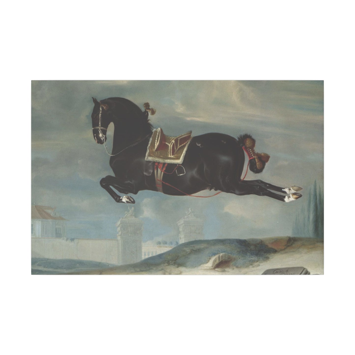 Majestic Horse Canvas Print - Capriole by Curioso for Equestrian Lovers