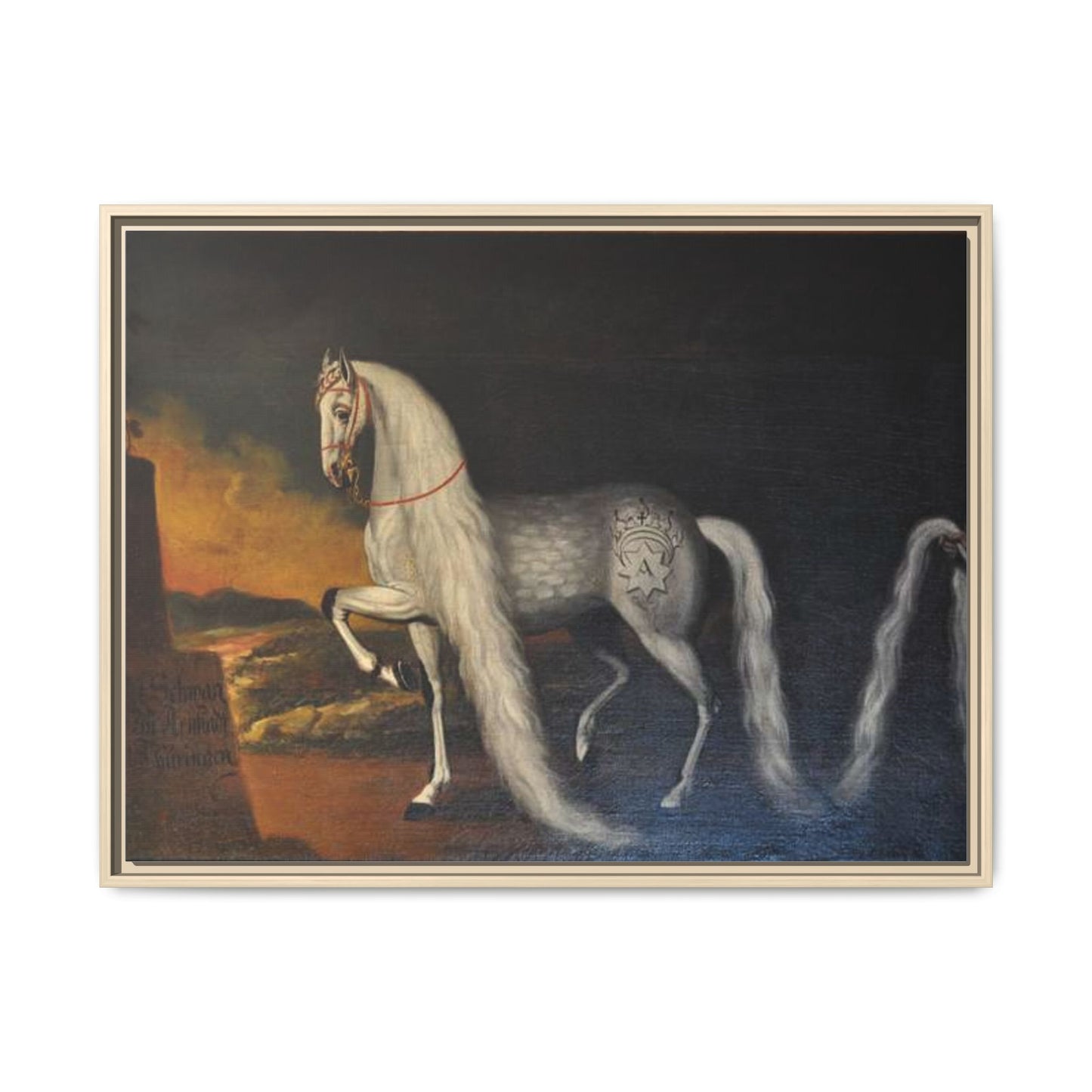 Matte Canvas Print — "Der Schwan zu Arnstadt" (Framed, Multi-Color)