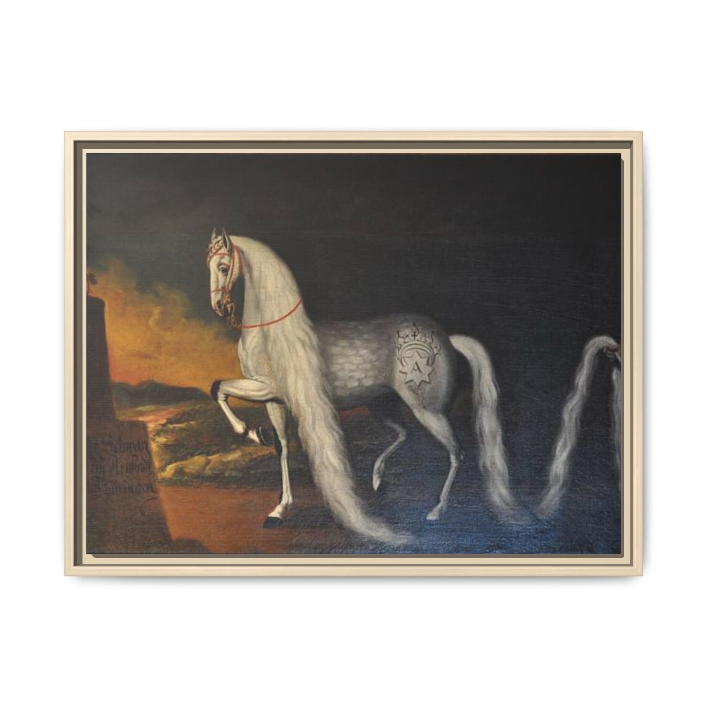 Matte Canvas Print — "Der Schwan zu Arnstadt" (Framed, Multi-Color)
