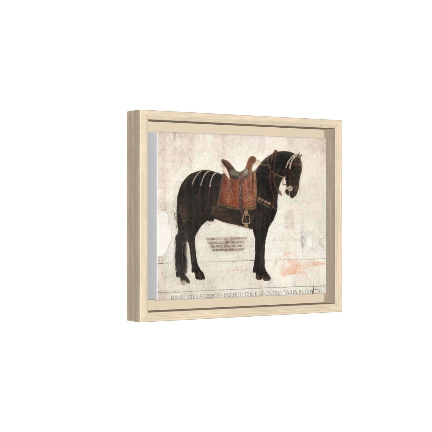 Framed Matte Canvas – 1523 Bay Horse 'Stella' Palazzo Pandone Fresco Print