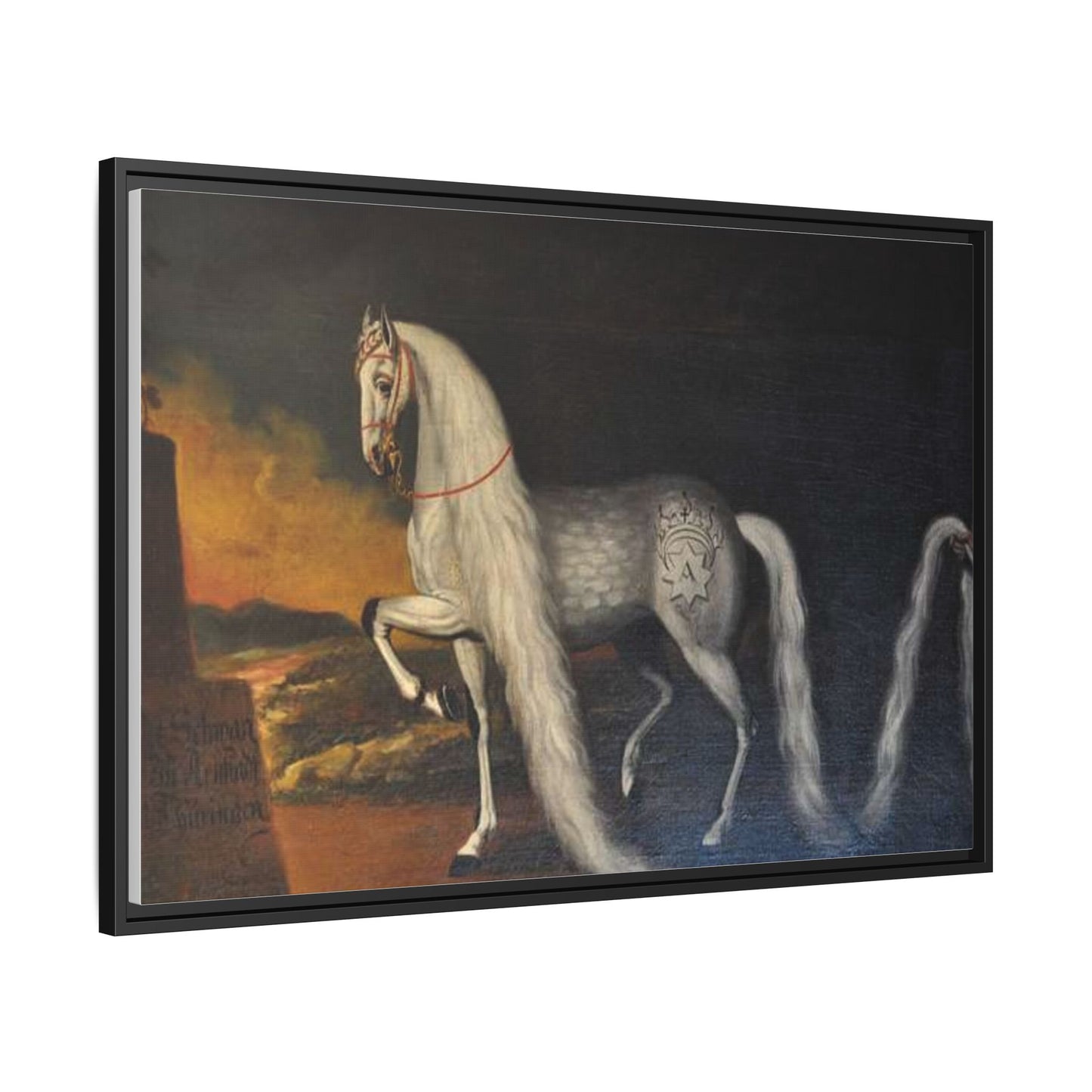 Matte Canvas Print — "Der Schwan zu Arnstadt" (Framed, Multi-Color)